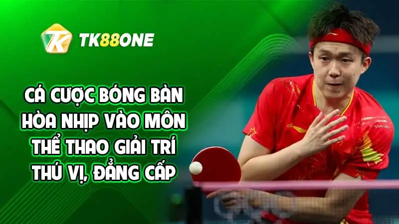 Cá cược bóng bàn - Hòa nhịp vào môn thể thao giải trí thú vị, đẳng cấp